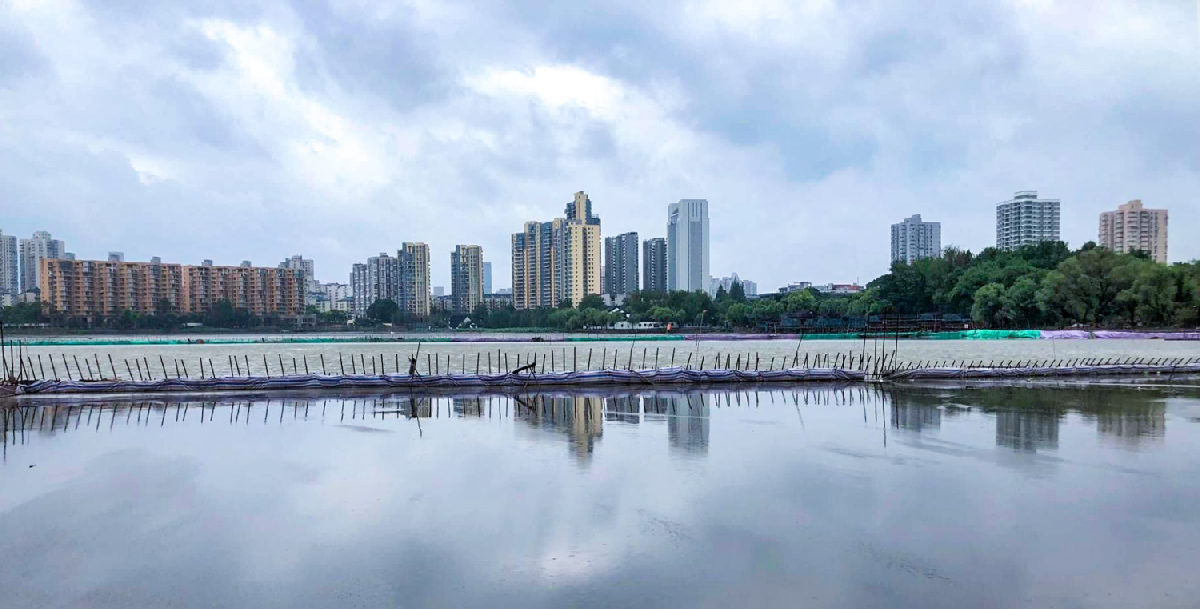 建邺区莫愁湖湖体水质提升—清淤及生态修复工程施工